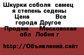Шкурки соболя (самец) 1-я степень седены › Цена ­ 12 000 - Все города Другое » Продам   . Московская обл.,Лобня г.